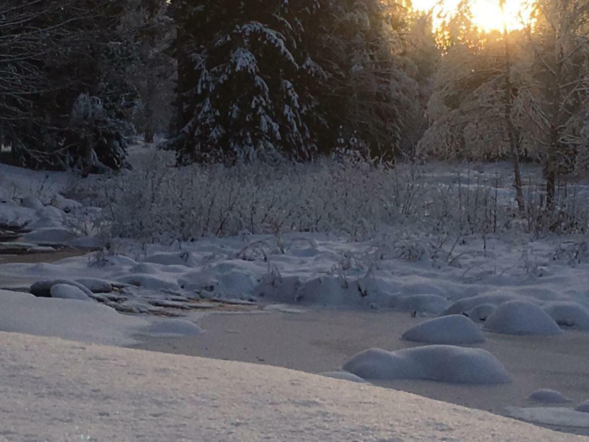 Seinaejoen Leirintaealue Otel Seinäjoki Dış mekan fotoğraf